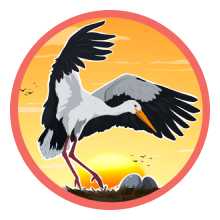 Реклама Беларусь, Реклама Главное